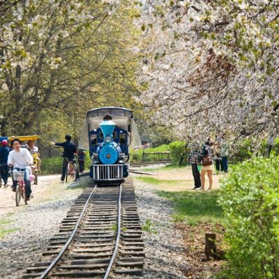 SEOUL - NAMI - EVERLAND