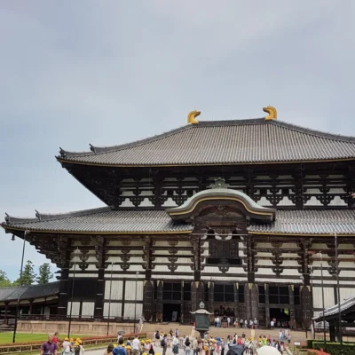 OSAKA - NARA - KYOTO - NÚI PHÚ SĨ - TOKYO